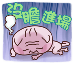 Stock Cat sticker #9261338