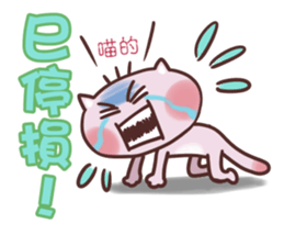 Stock Cat sticker #9261367