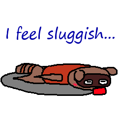 Drunken racoon dog (English)