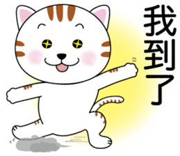 Brother cats - Amei & Amo part2 sticker #9262026