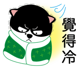 Brother cats - Amei & Amo part2 sticker #9262033