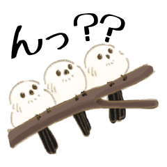 Sticker of Cute Bird