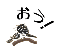 Sticker of Cute Bird sticker #9263353