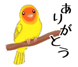 Sticker of Cute Bird sticker #9263366