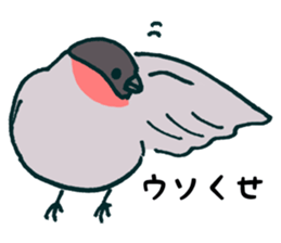 Eurasian bullfinch sticker #9265136