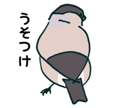 Eurasian bullfinch sticker #9265137