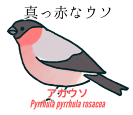 Eurasian bullfinch sticker #9265140