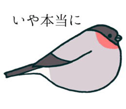 Eurasian bullfinch sticker #9265142