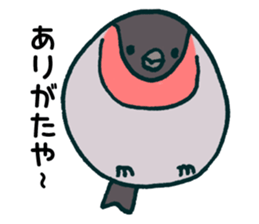 Eurasian bullfinch sticker #9265145