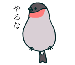 Eurasian bullfinch sticker #9265146