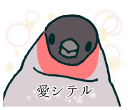 Eurasian bullfinch sticker #9265147