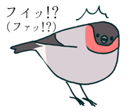 Eurasian bullfinch sticker #9265148