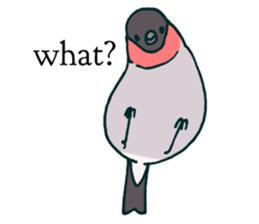 Eurasian bullfinch sticker #9265151