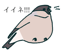 Eurasian bullfinch sticker #9265152