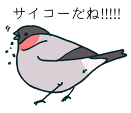 Eurasian bullfinch sticker #9265153