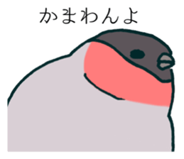 Eurasian bullfinch sticker #9265157