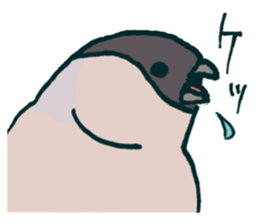 Eurasian bullfinch sticker #9265159