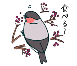 Eurasian bullfinch sticker #9265160
