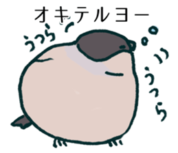 Eurasian bullfinch sticker #9265161