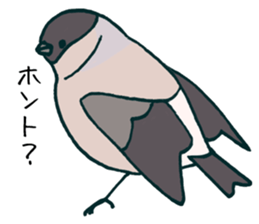 Eurasian bullfinch sticker #9265162