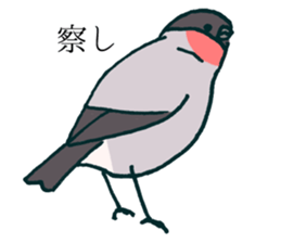Eurasian bullfinch sticker #9265163