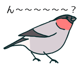Eurasian bullfinch sticker #9265164