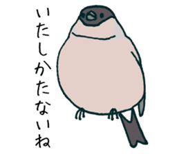 Eurasian bullfinch sticker #9265165