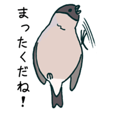 Eurasian bullfinch sticker #9265166