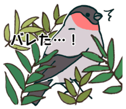 Eurasian bullfinch sticker #9265167