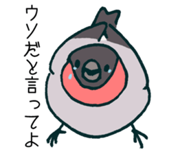 Eurasian bullfinch sticker #9265169