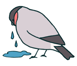 Eurasian bullfinch sticker #9265170