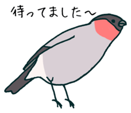 Eurasian bullfinch sticker #9265173
