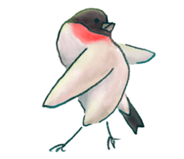 Eurasian bullfinch sticker #9265175