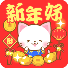 White&pink colored Cat8 -Taiwan-