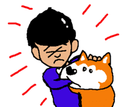 Shiba inu MOMO chan the third as well 12 sticker #9269446