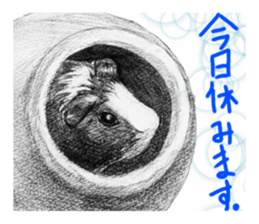 junishi sketch in pencil. sticker #9269464