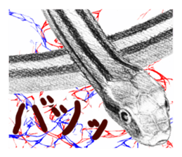 junishi sketch in pencil. sticker #9269469