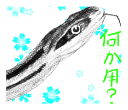 junishi sketch in pencil. sticker #9269481