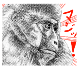 junishi sketch in pencil. sticker #9269484