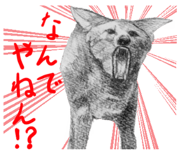 junishi sketch in pencil. sticker #9269486