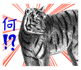 junishi sketch in pencil. sticker #9269490