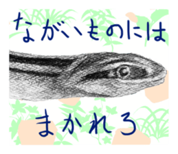 junishi sketch in pencil. sticker #9269493