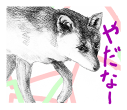 junishi sketch in pencil. sticker #9269503