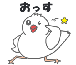 Here comes a boy Java sparrow bunbunmaru sticker #9272466