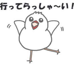 Here comes a boy Java sparrow bunbunmaru sticker #9272473