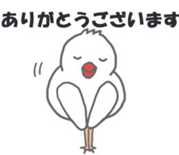 Here comes a boy Java sparrow bunbunmaru sticker #9272476