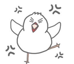 Here comes a boy Java sparrow bunbunmaru sticker #9272481