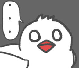 Here comes a boy Java sparrow bunbunmaru sticker #9272491