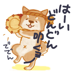 A Shiba dog good at praising you.