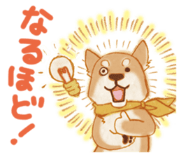 A Shiba dog good at praising you. sticker #9277504